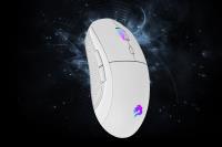 GAMEBOOSTER M11 Dire RGB Aydınlatmalı Beyaz Profesyonel Gaming Mouse